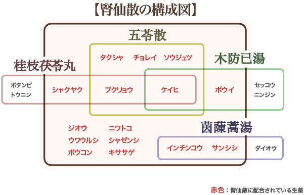 腎仙散 ジンセンサン 膀胱炎やむくみに 和漢のチカラを科学する摩耶堂製薬株式会社