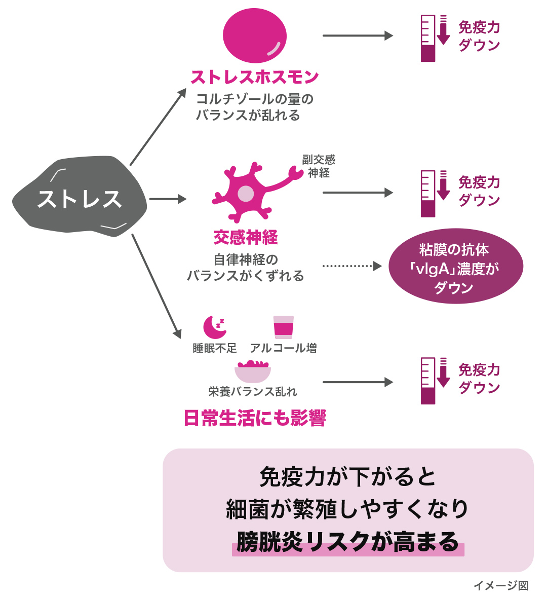 ストレスメカニズムの説明図