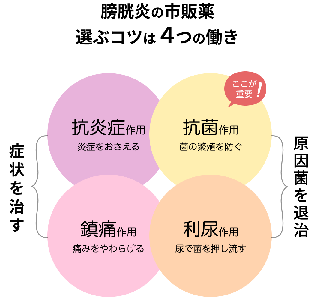 膀胱炎の市販薬選ぶコツは４つの働き