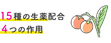 15種の生薬配合 4つの作用