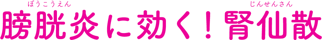膀胱炎(ぼうこうえん)に効く!腎仙散(じんせんさん)