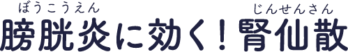 膀胱炎に効く!腎仙散